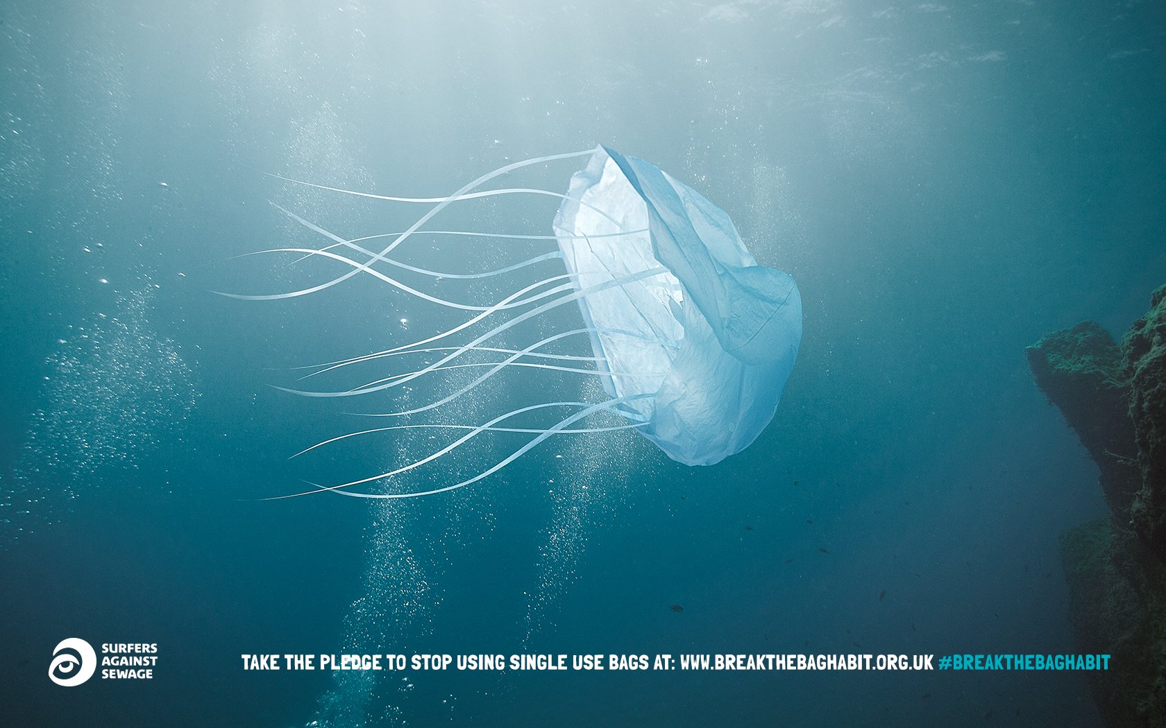 Break the Bag Habit