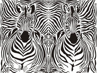 How the zebra got his stripes (science version)