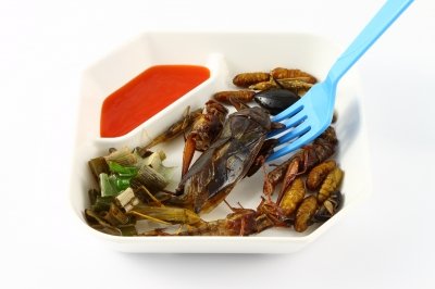 mmmm, grubs...