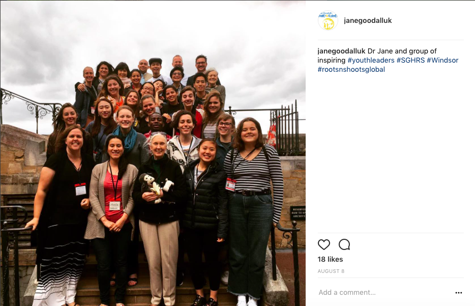 Roots & Shoots UK: summer 2017 Instagram highlights