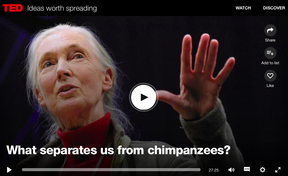 Some of our favourite Jane Goodall videos