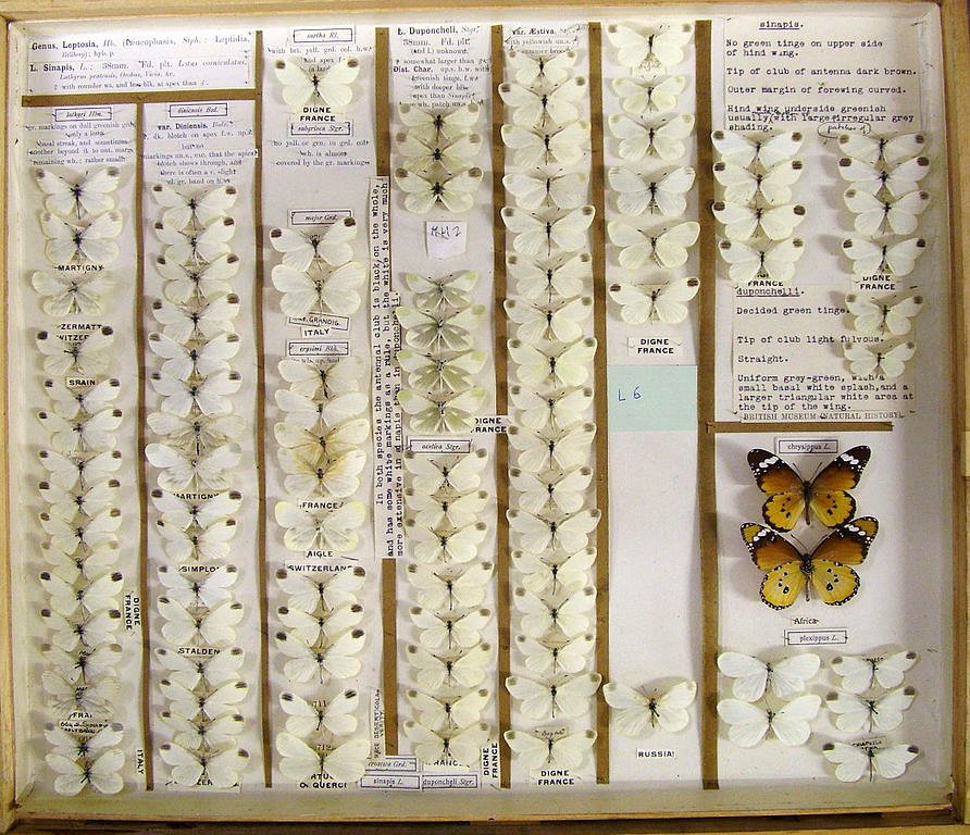 Taxonomy – dull, stuffy, boring?