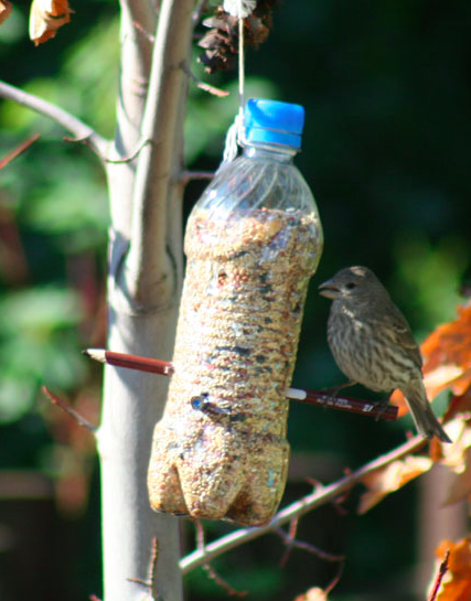 Useful and fun ways to up-cycle in your home