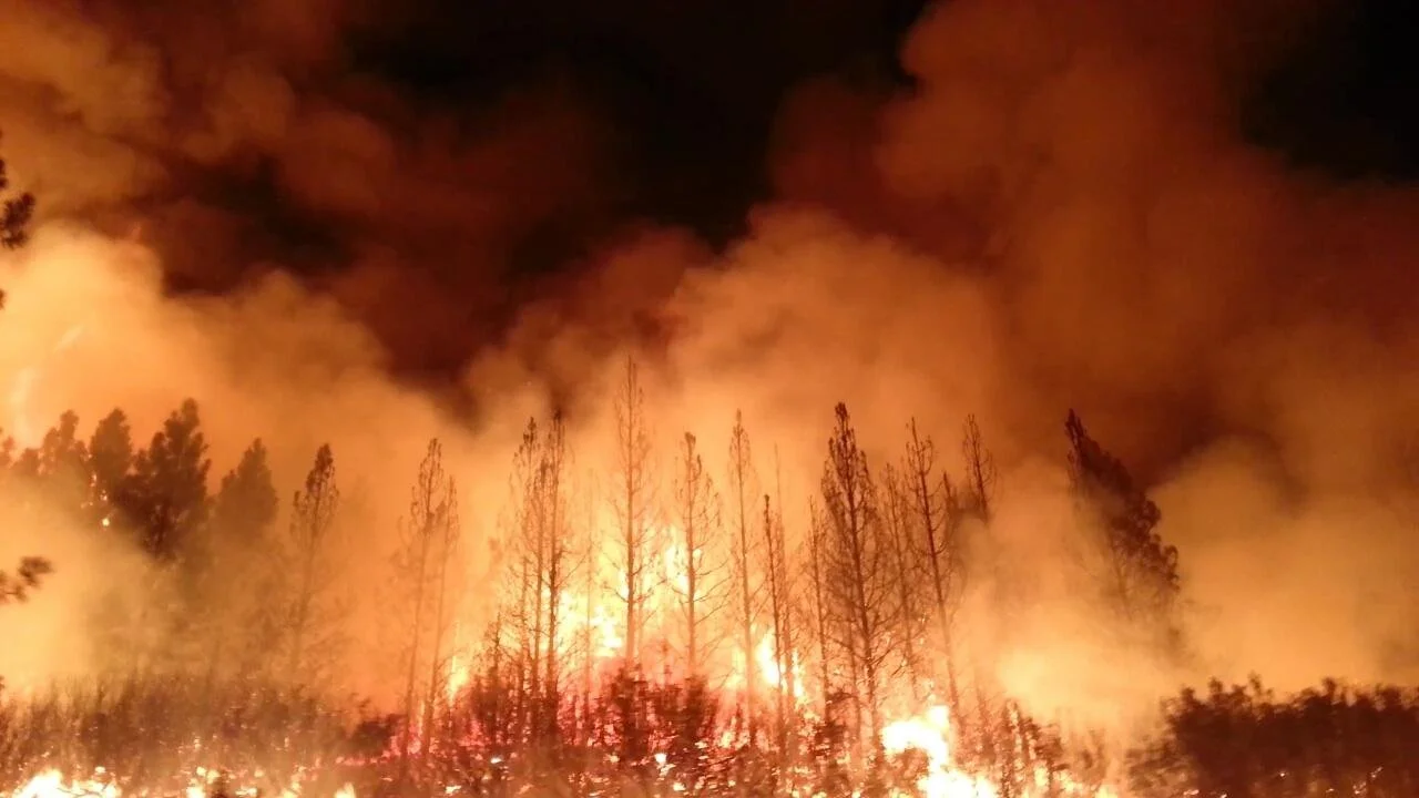 What causes wildfires?