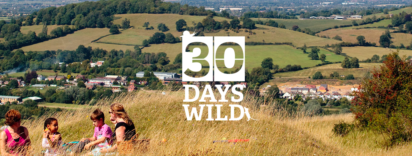 Will you take on the #30DaysWild challenge?