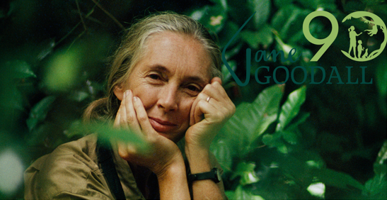 90 actions during Jane Goodall's 90th birthday year - for people, animals and the environment