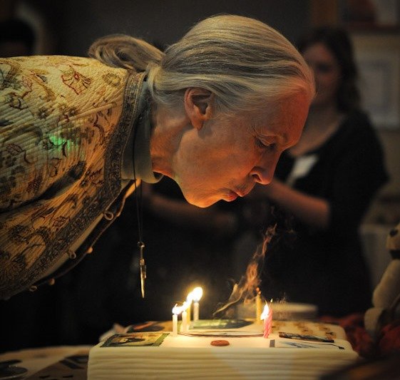 A special Birthday message to Dr. Jane Goodall!