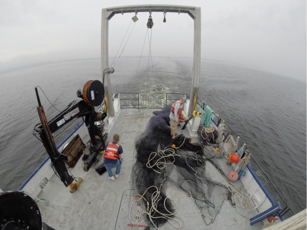Commercial Fishing