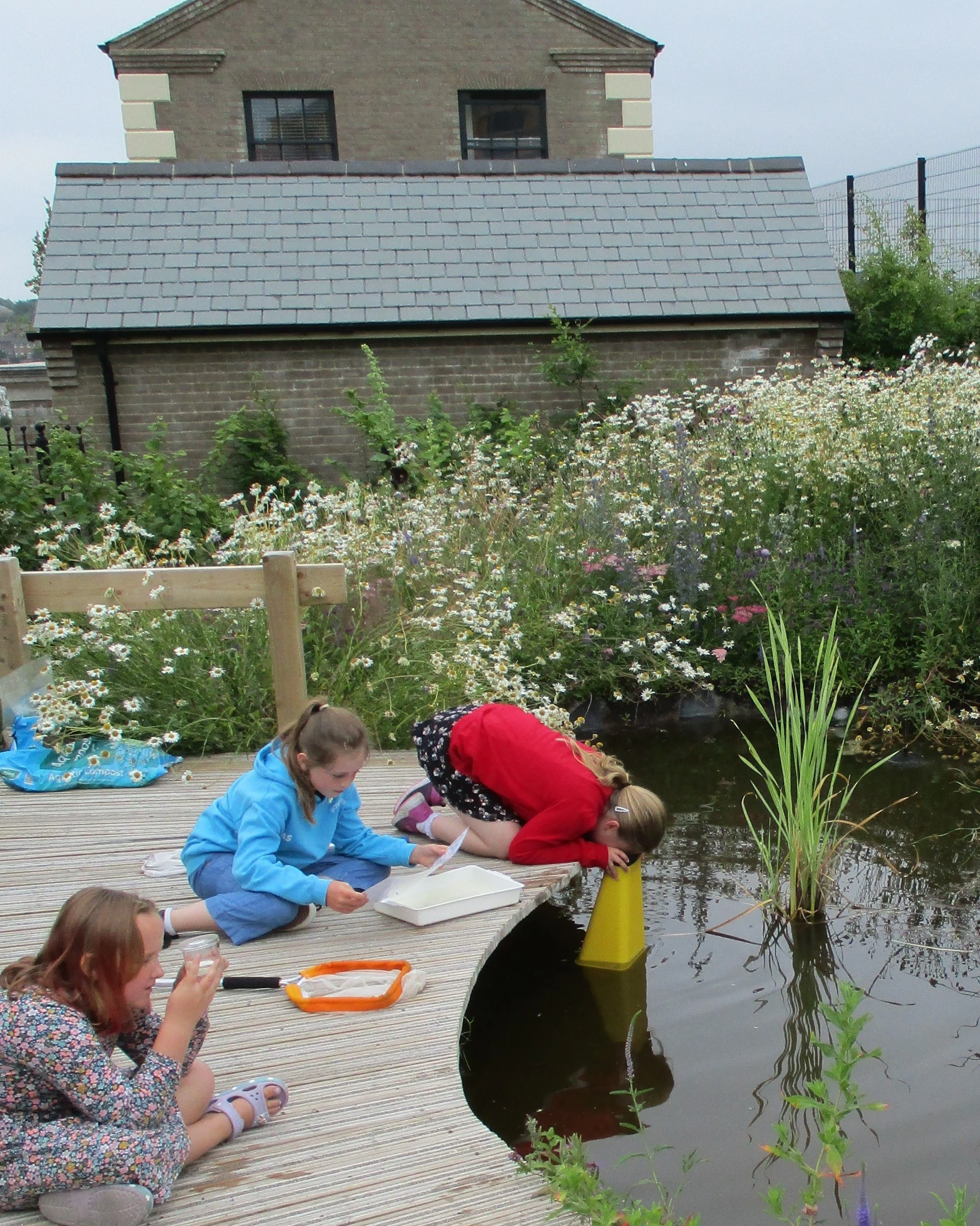 Cultivation Street 3rd Place - Damers First School