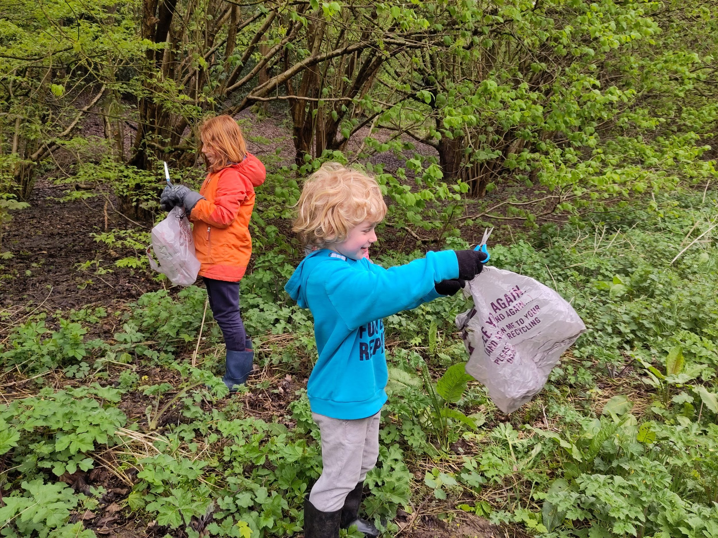 Foraging for nettle