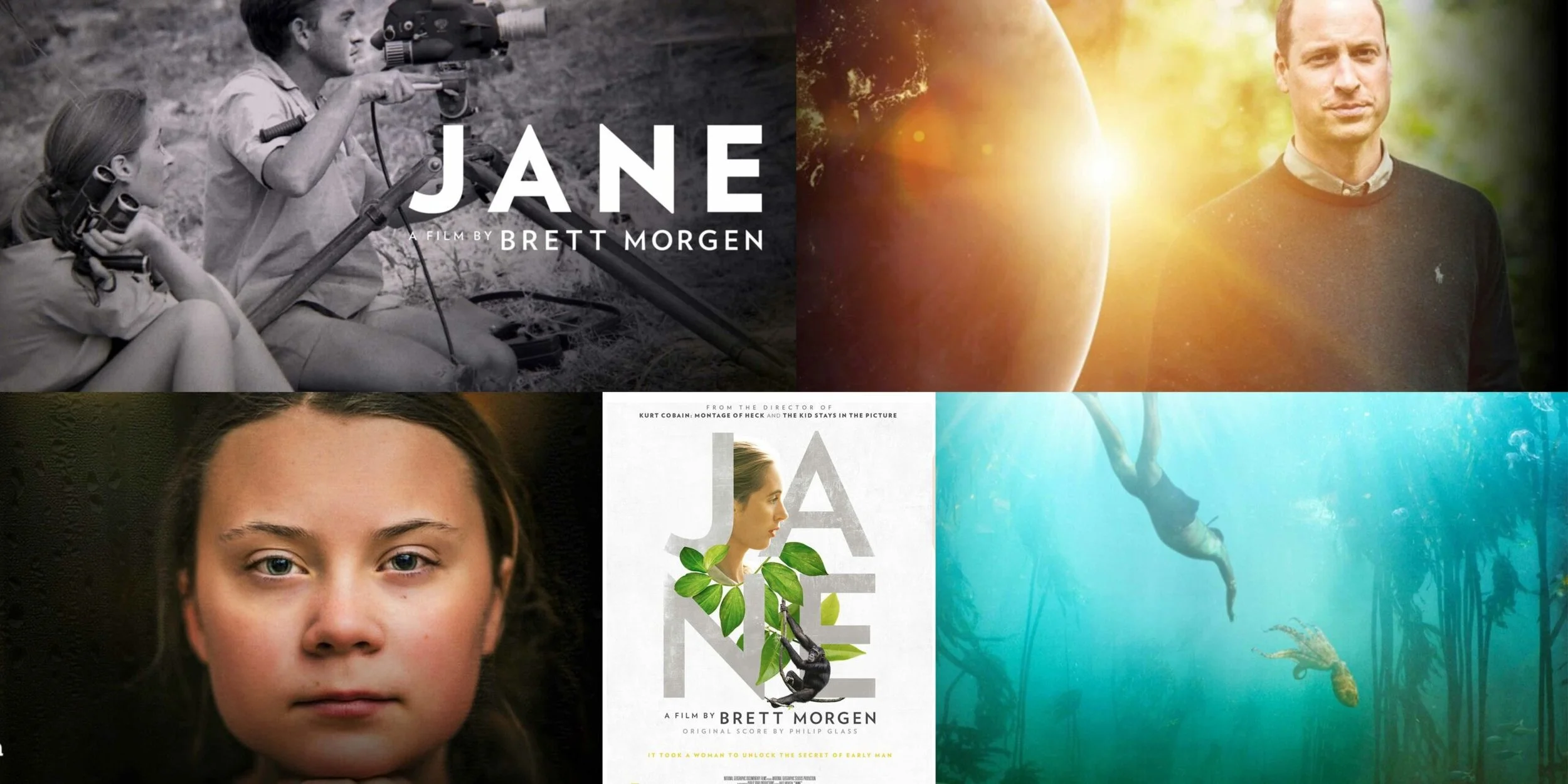 Our favourite wildlife documentaries