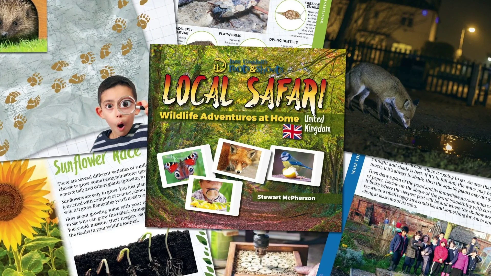 Roots & Shoots UK launches resources to 20,000 schools across the UK in partnership with the Don Hanson Charitable Foundation