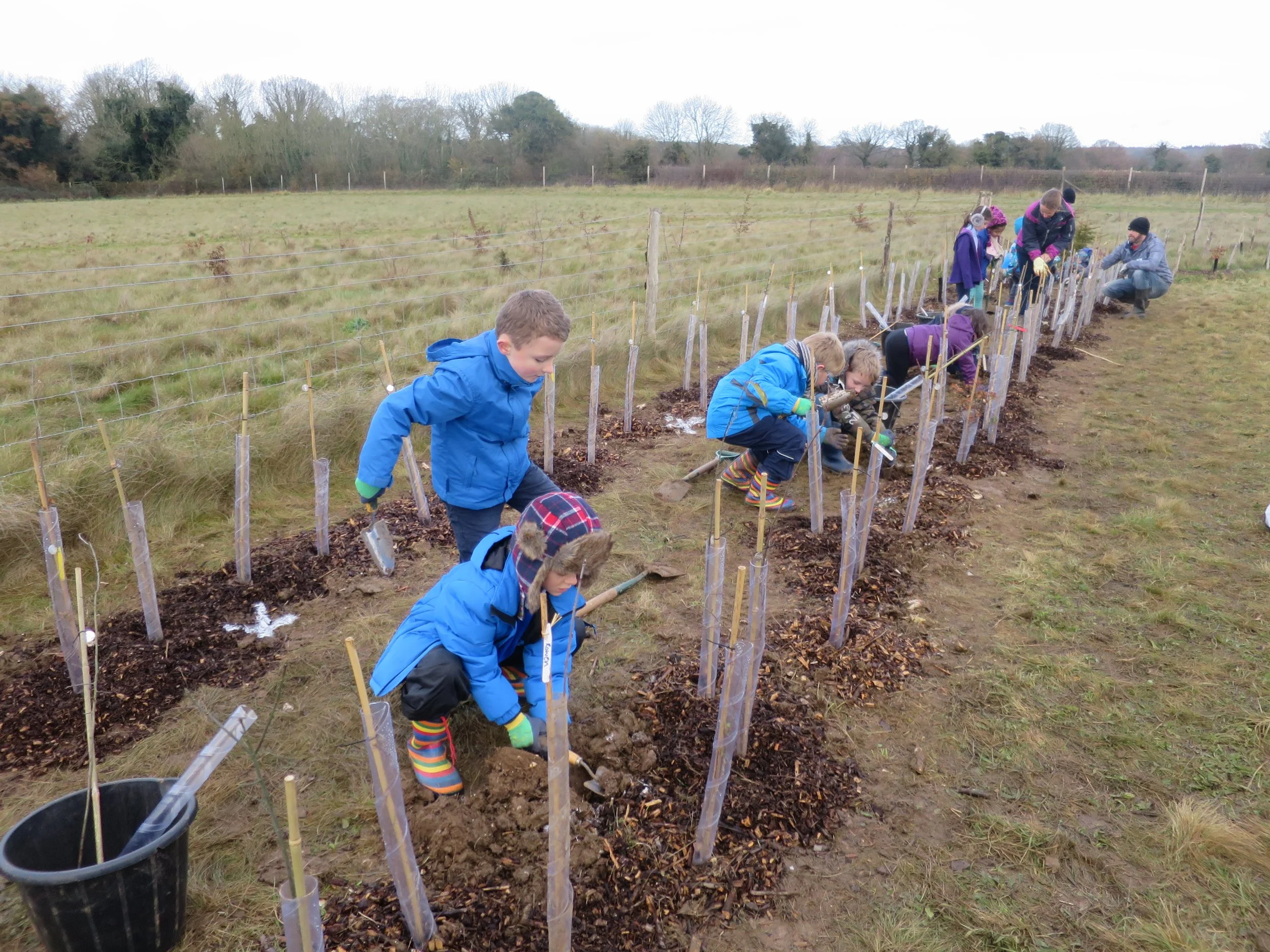 Take part in our Climate Action: Race to Zero project and Win Big!