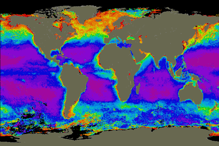 Warm seas, cold seas, ocean currents