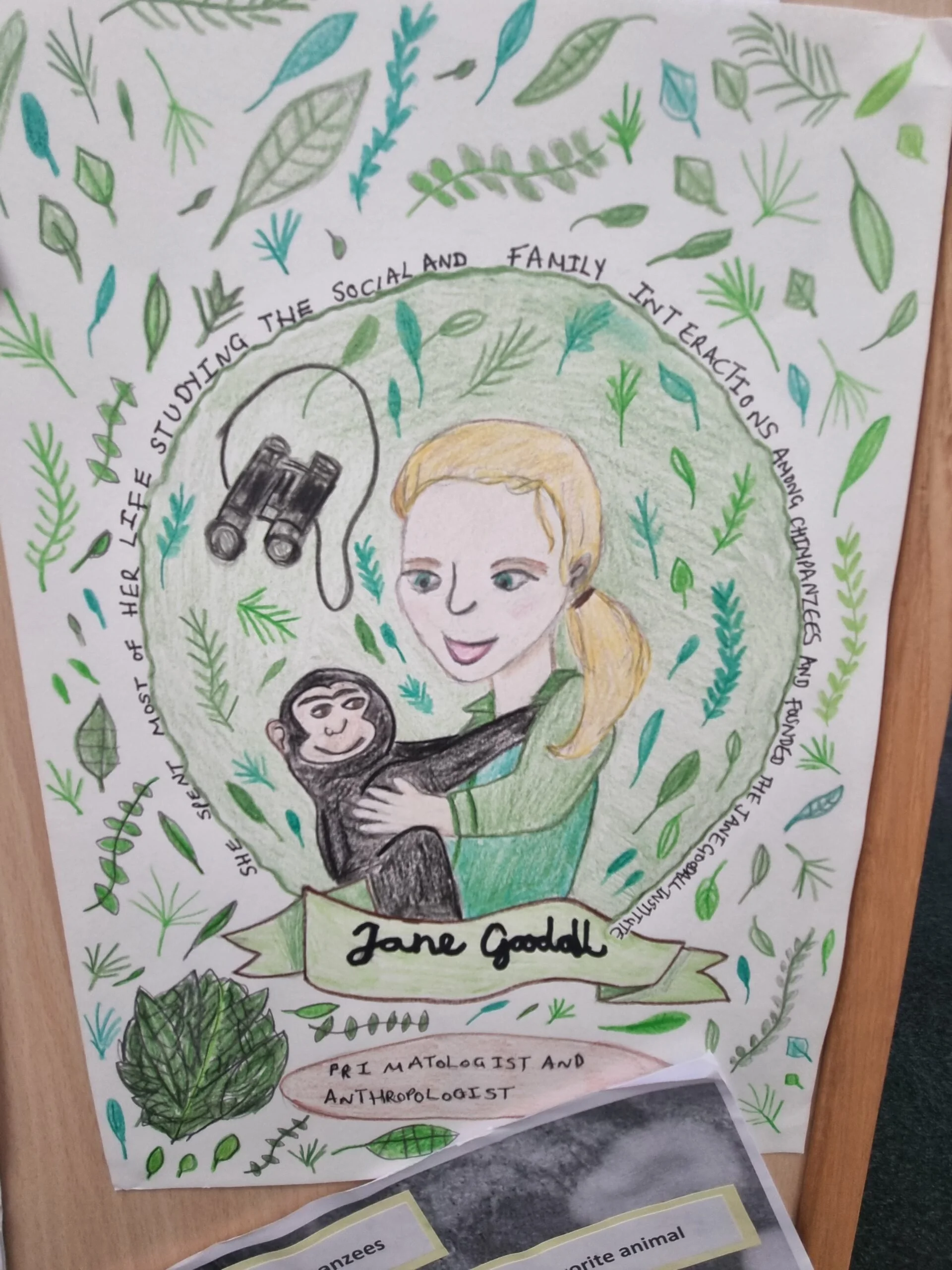 Damers First School Inspirartional Queen, Dame Jane Goodall