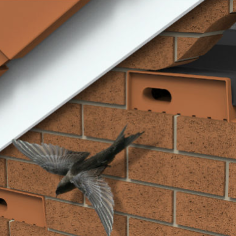 Damers First School - Swift Bricks Campaign