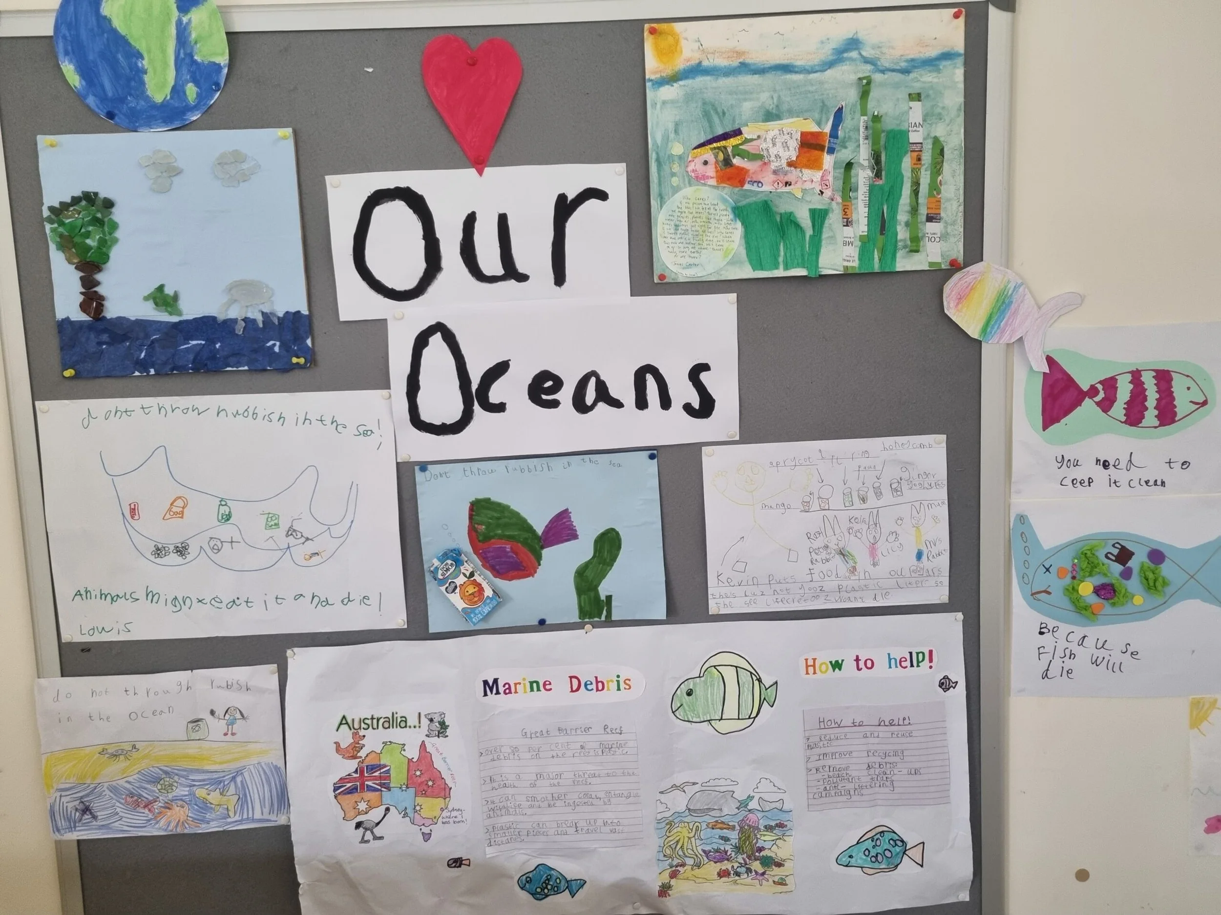 Oceans and Countryside - Damers First School