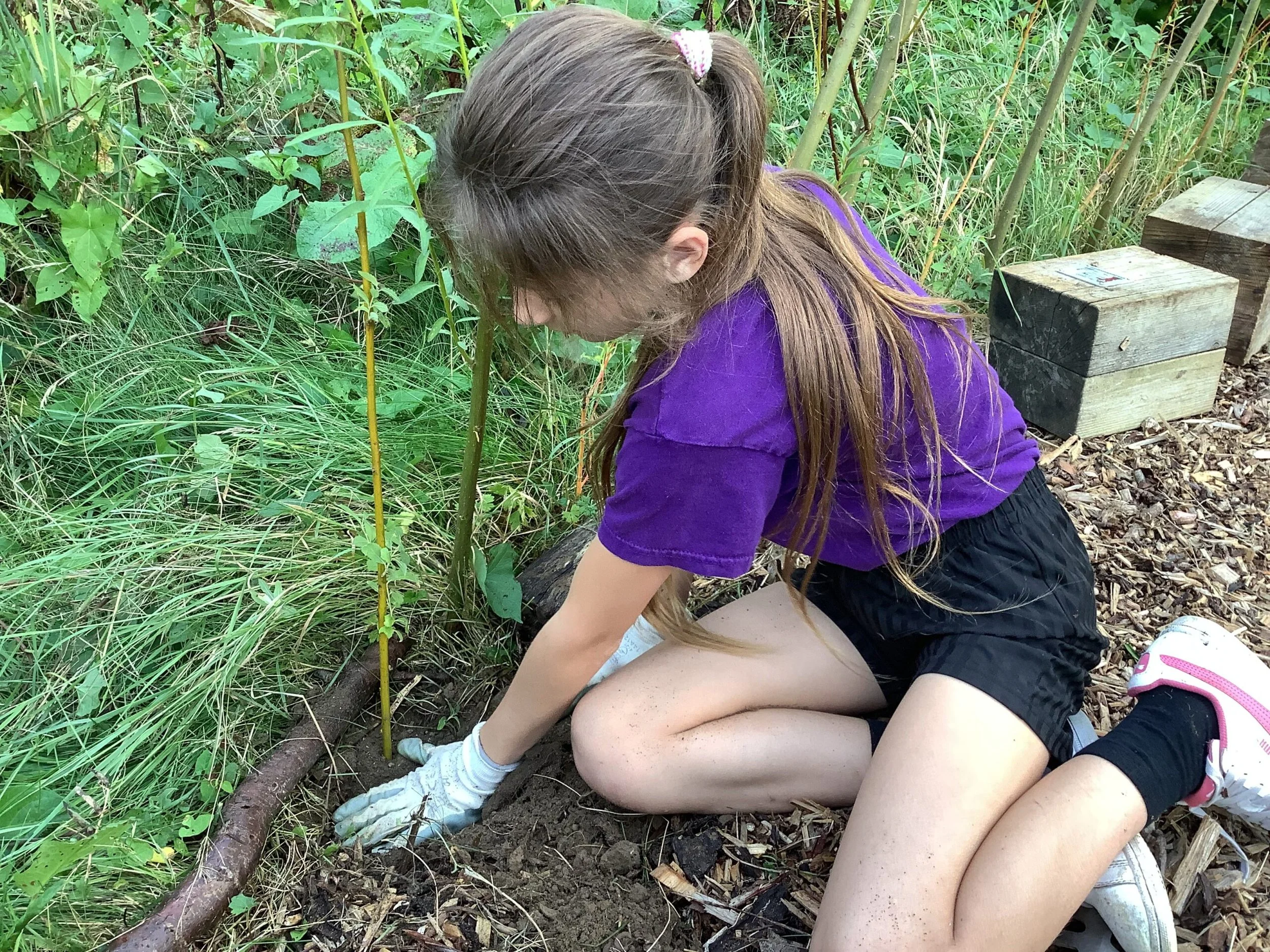 Planting for International Day of Peace at Goat Lees Primary School