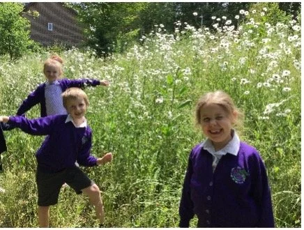 Progress On Our Meadow and Pond Area