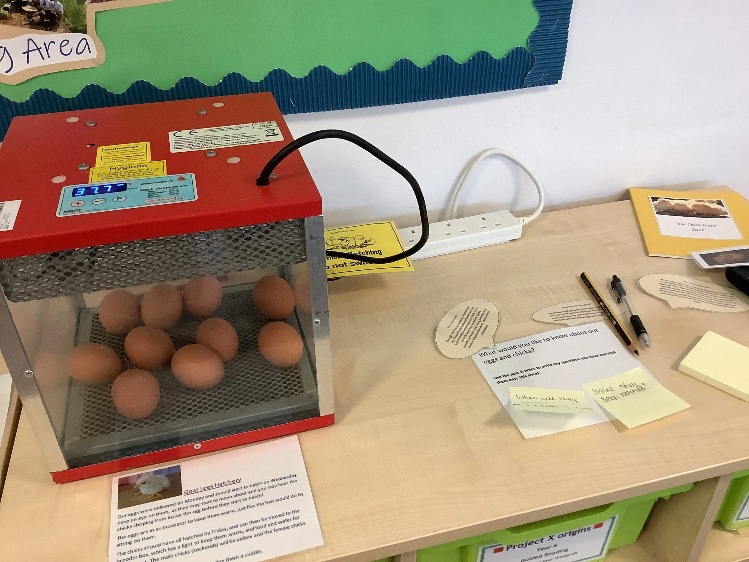 Roots &amp; Shoots Eco Group Working Hard