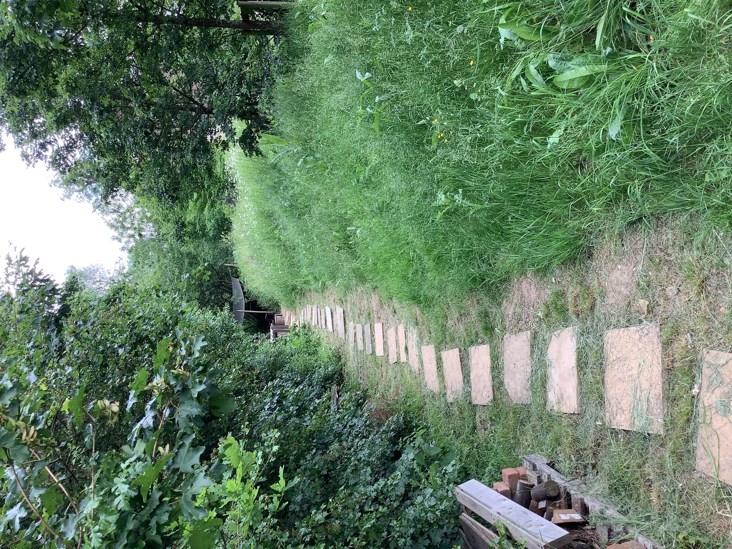 Sharing Our Outdoor Learning and Forest School Ideas