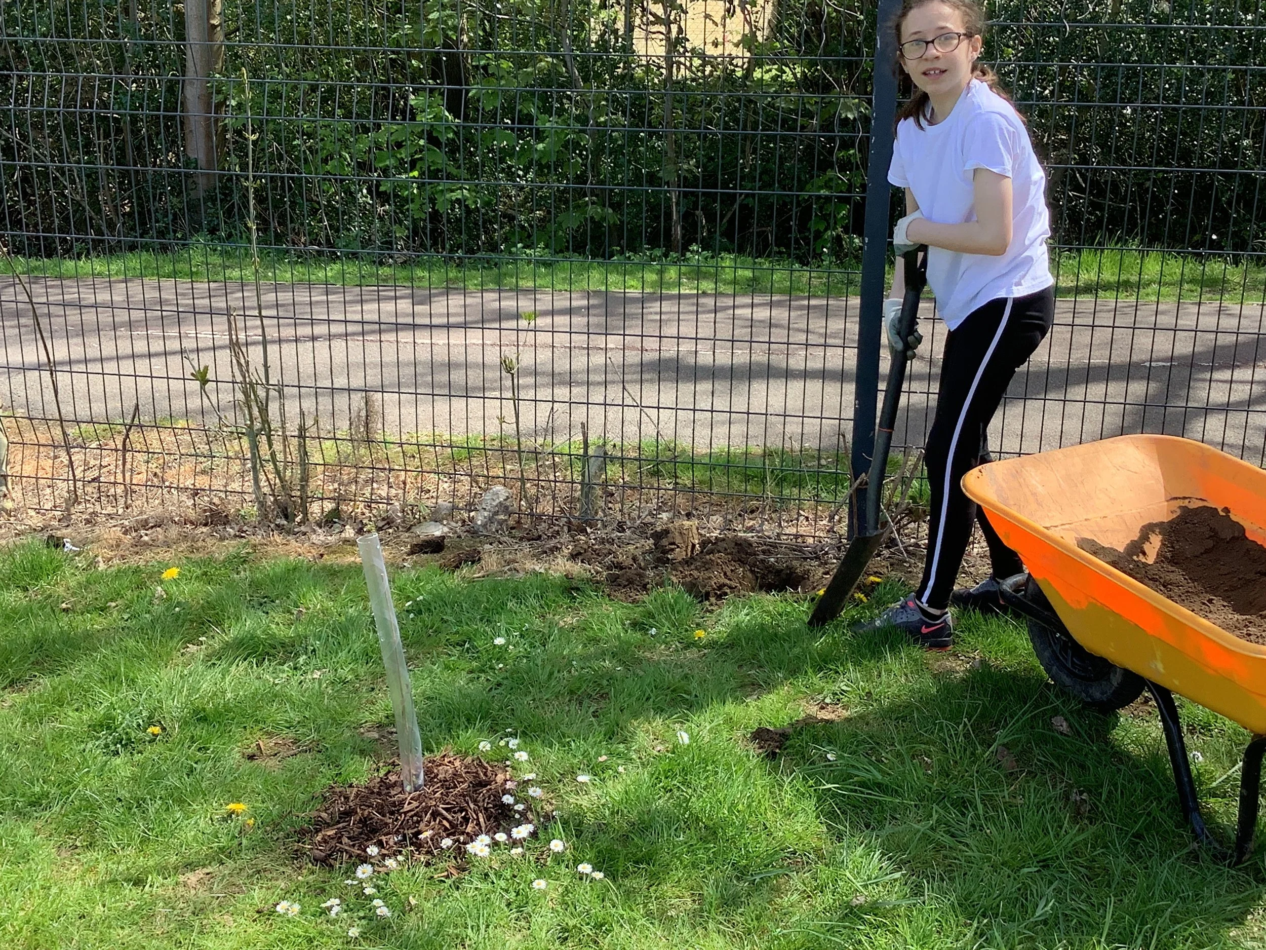 Working for the Roots & Shoots Climate Action Project