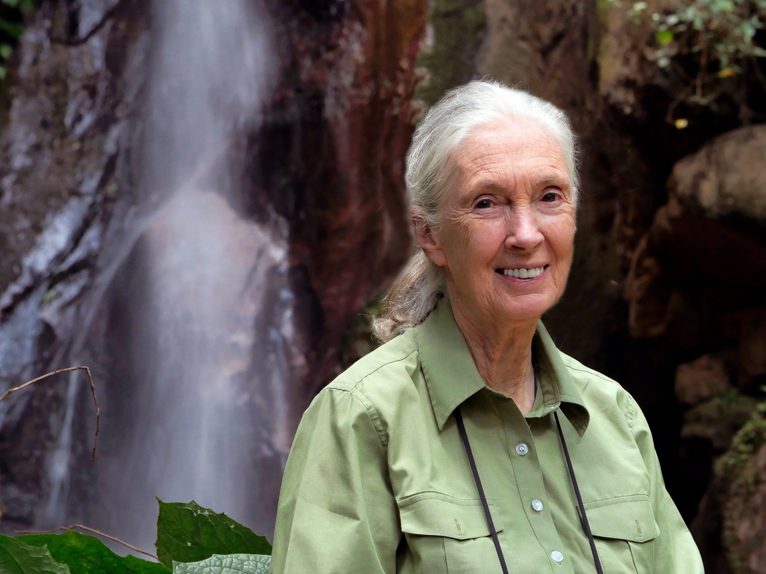 Dr Jane Goodall announced as COP26 Advocate