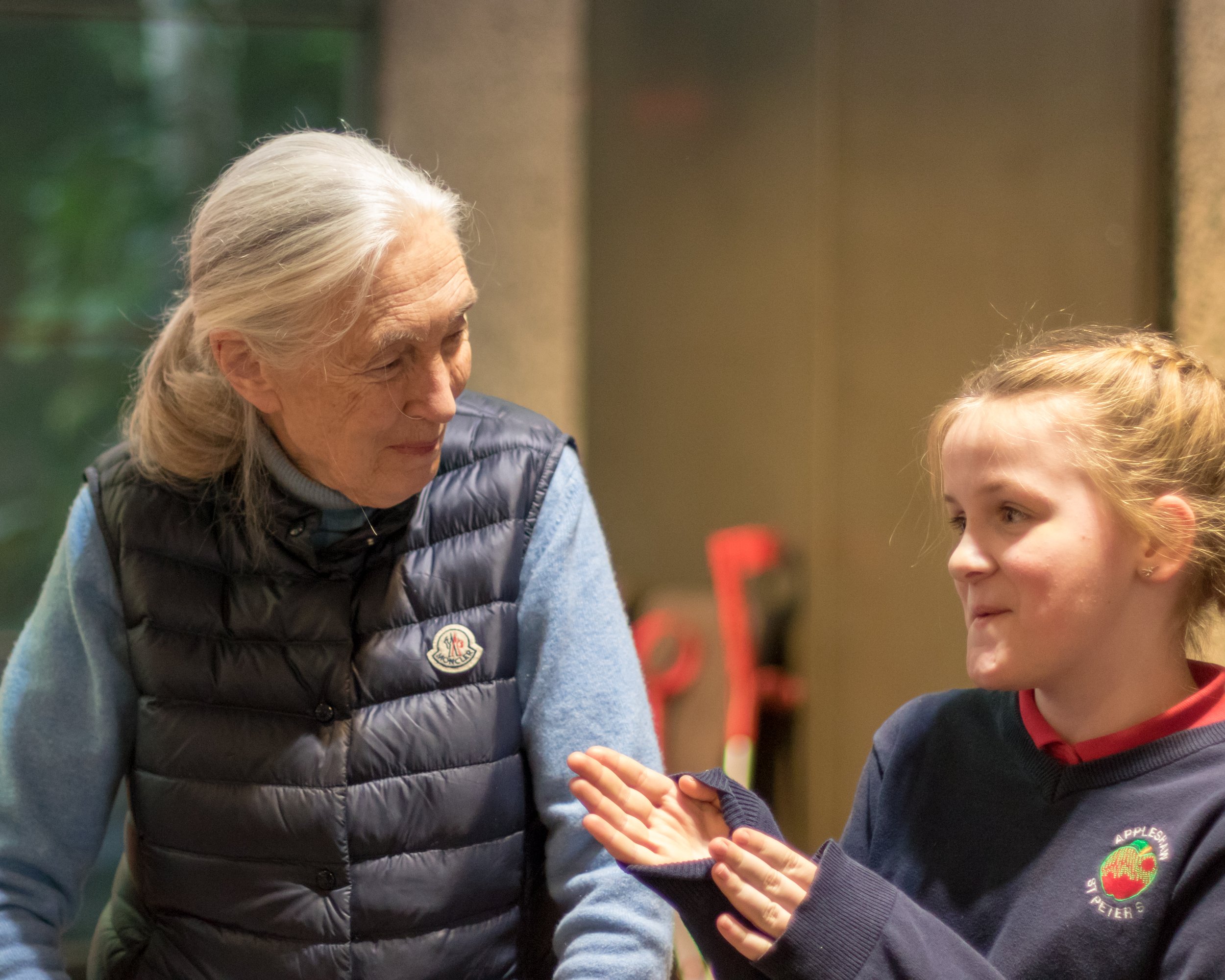 Congratulations to our Roots & Shoots Awards winners