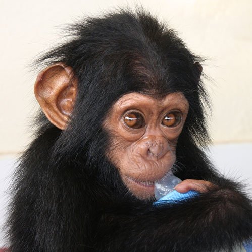 Let us help you give a Christmas gift that makes a difference!