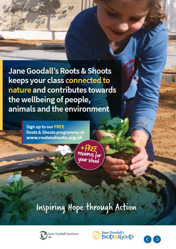 Roots & Shoots Brochure 2022