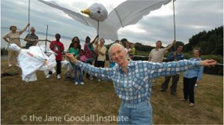 Roots & Shoots - dates for your diary