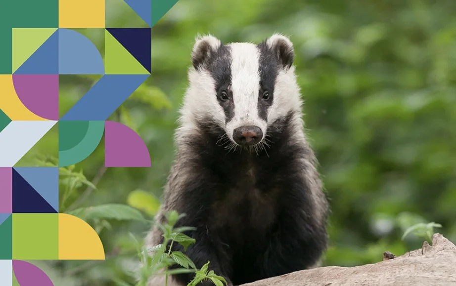 The new Natural History GCSE