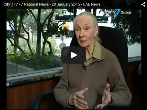 Jane’s Visit to Abu Dhabi & Dubai - January 2015