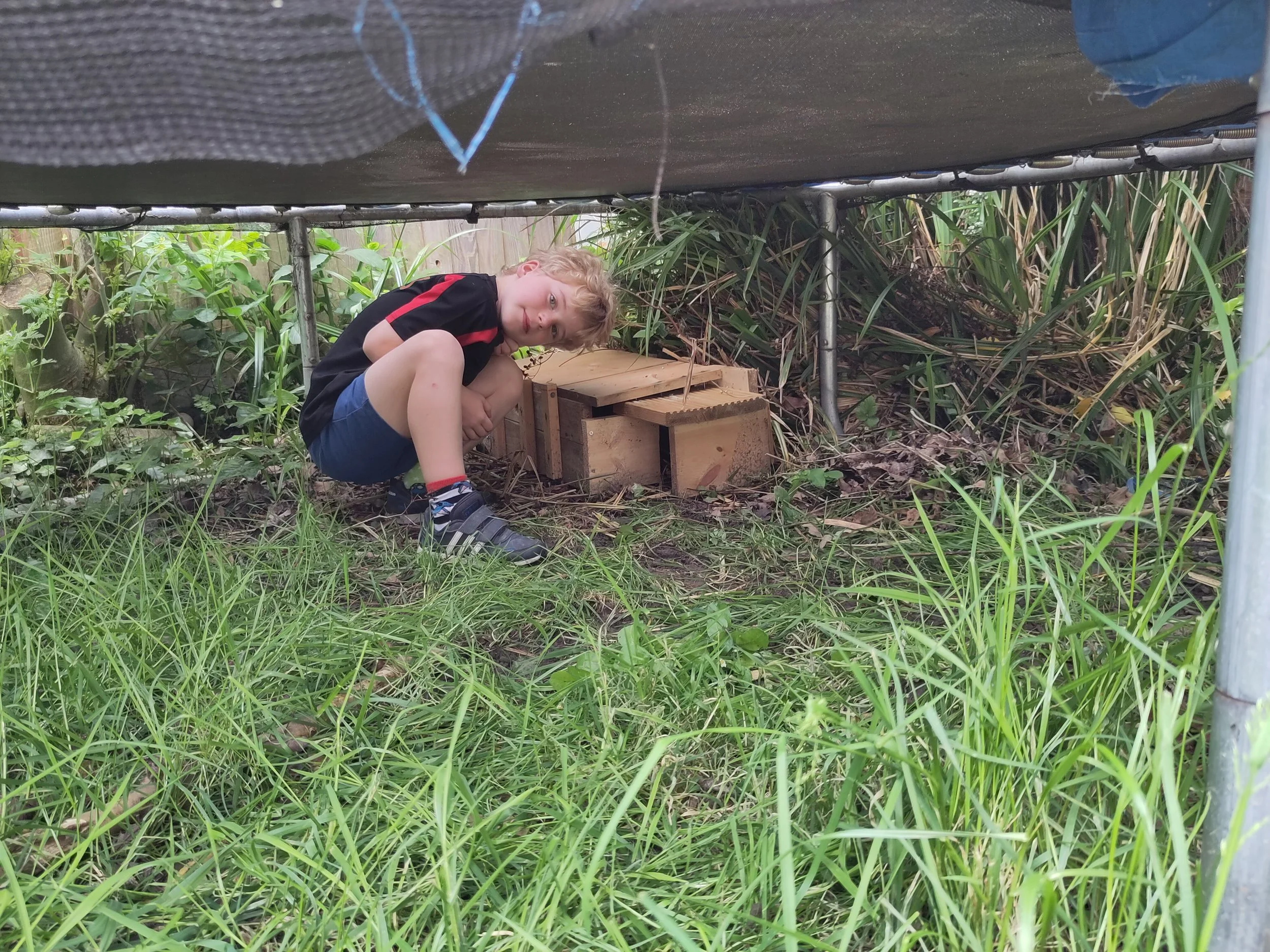 Mother's day hedgehog house
