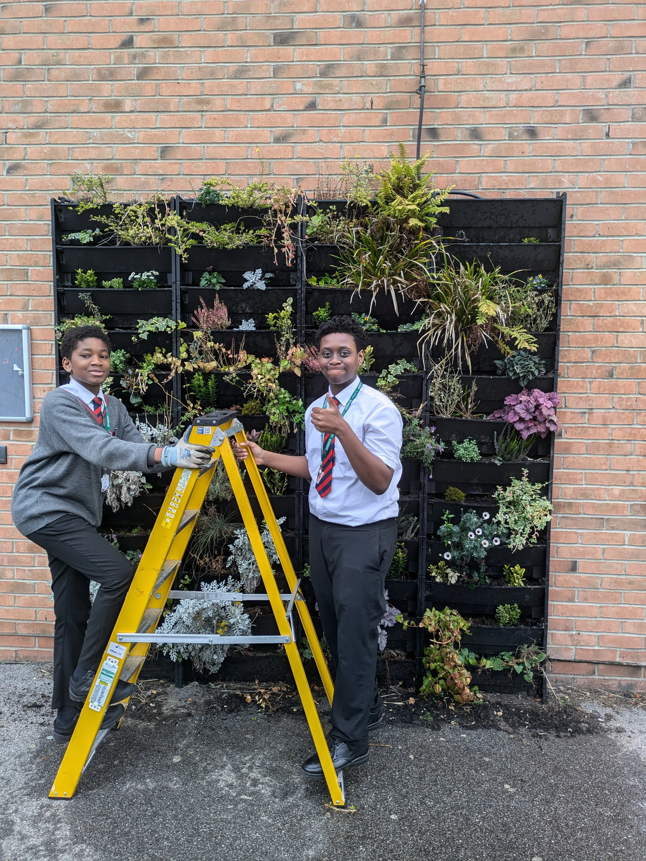 The Ruth Gorse Academy’s Living Wall