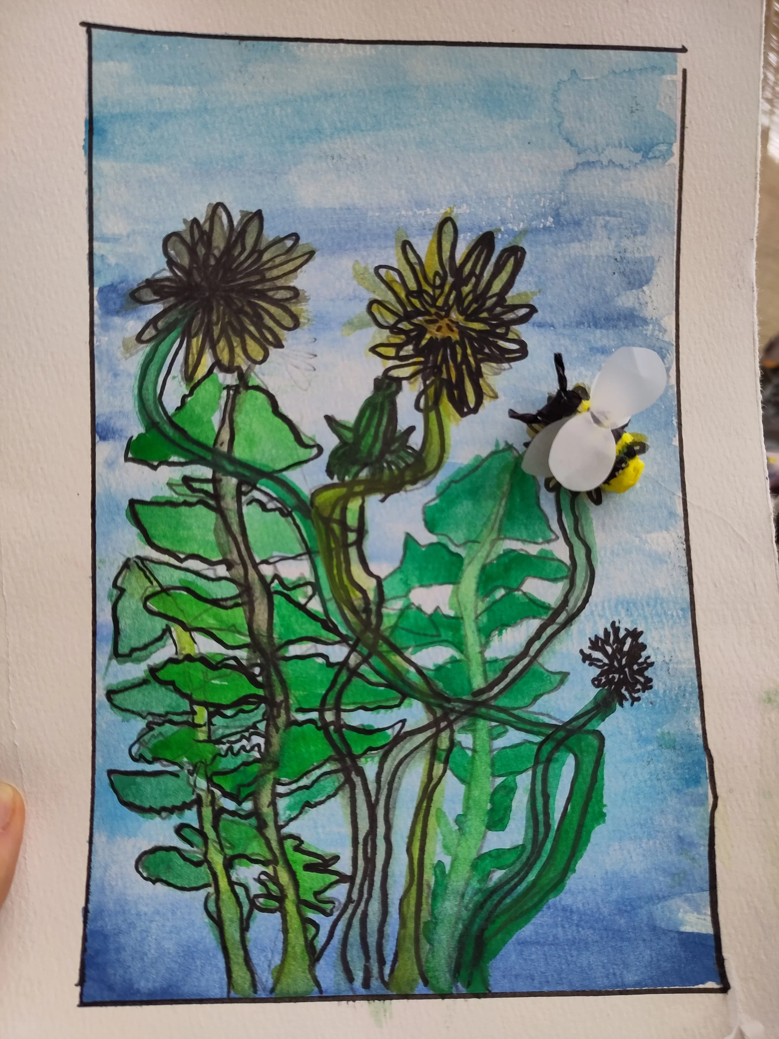 Foraging for dandelion