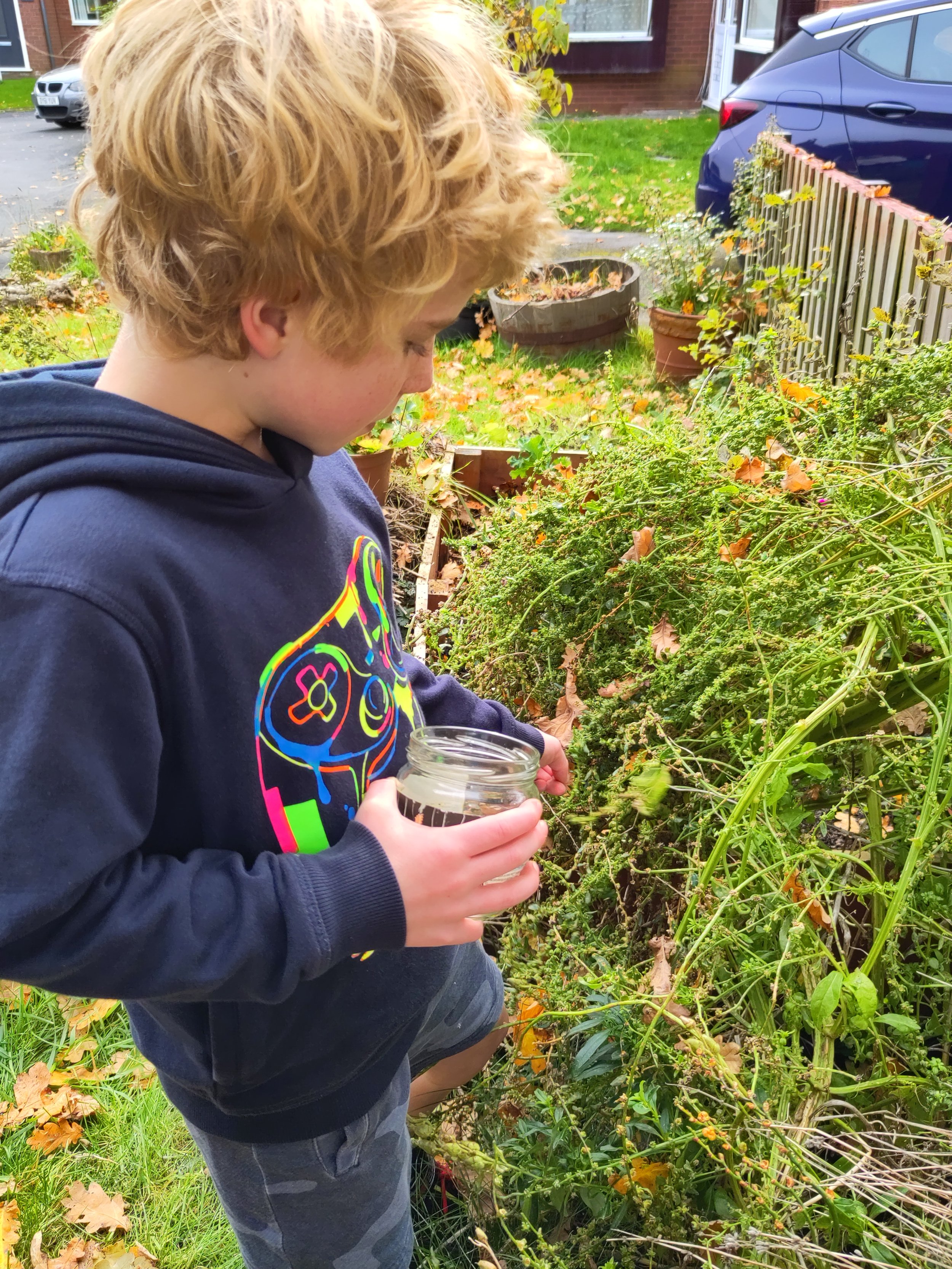 Harvesting seeds