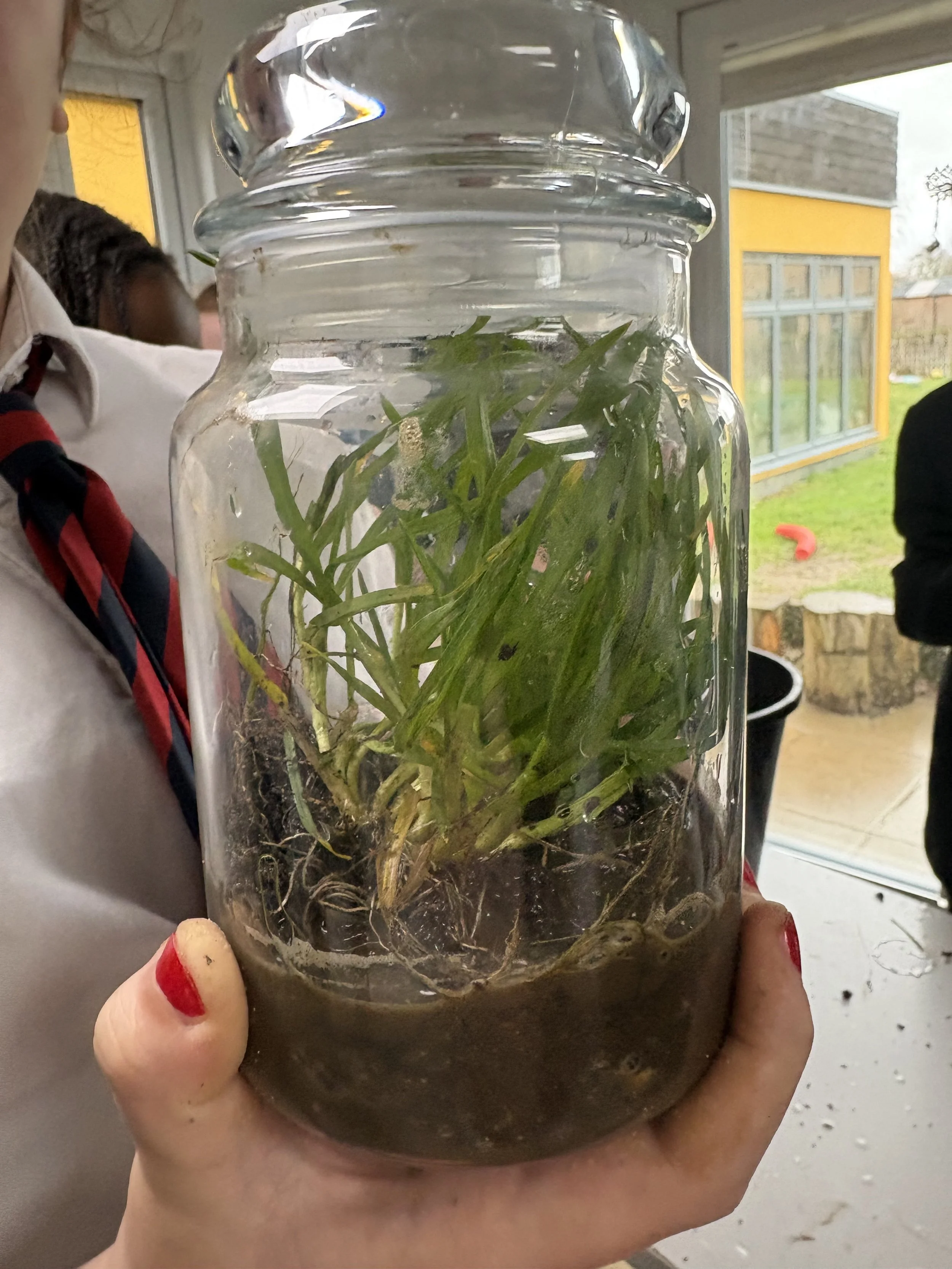 We created an EcoSystem in a Jar!