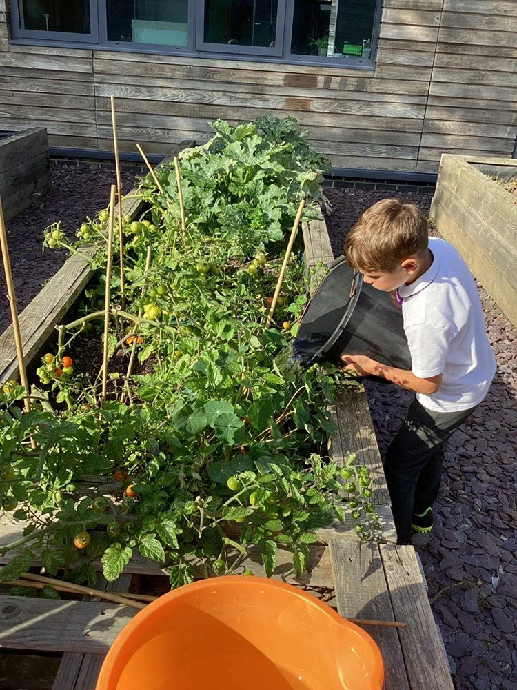 Watering.jpg