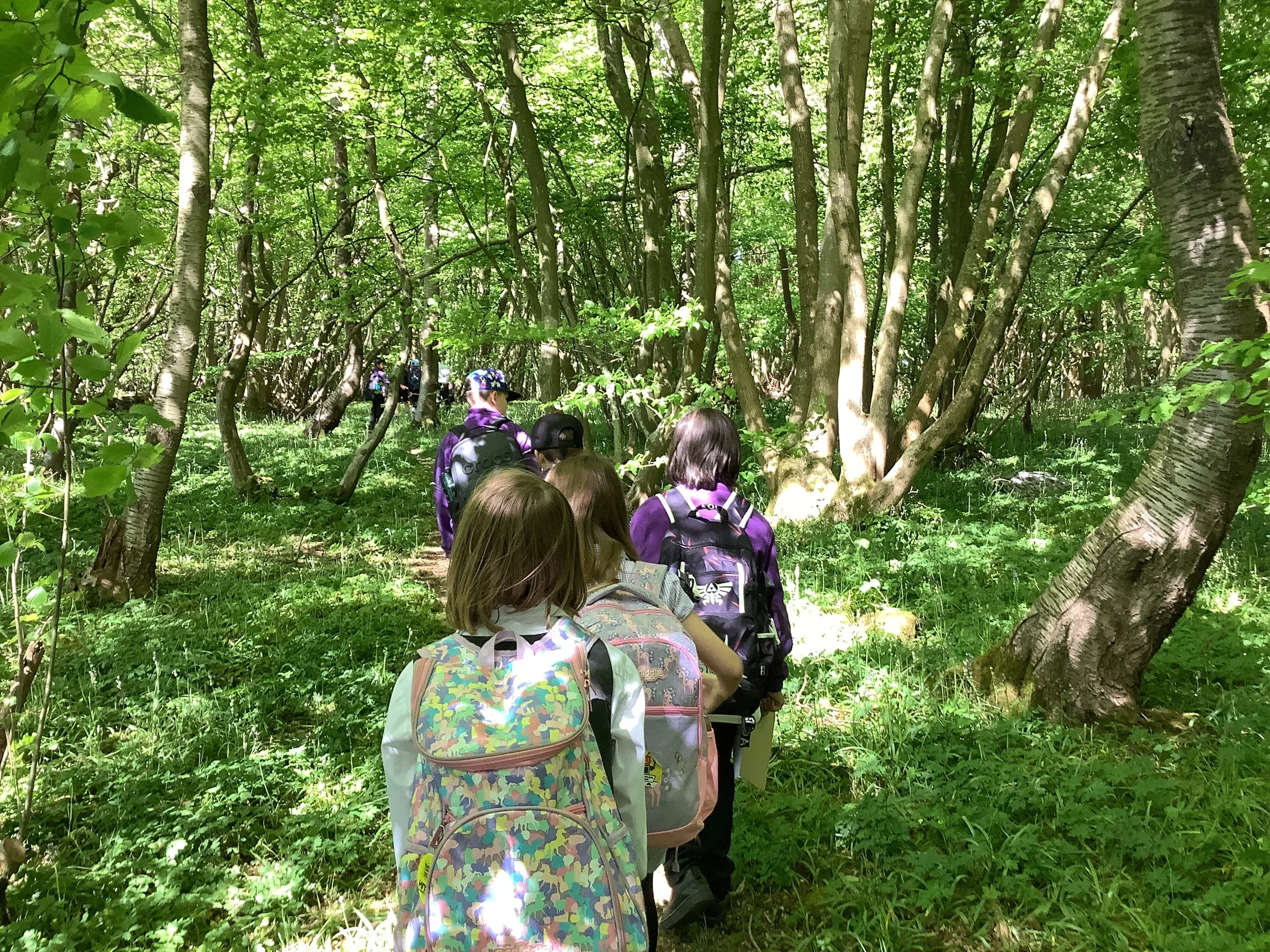 Exploring the Ancient Woodland at Heart's Delight Farm.JPG