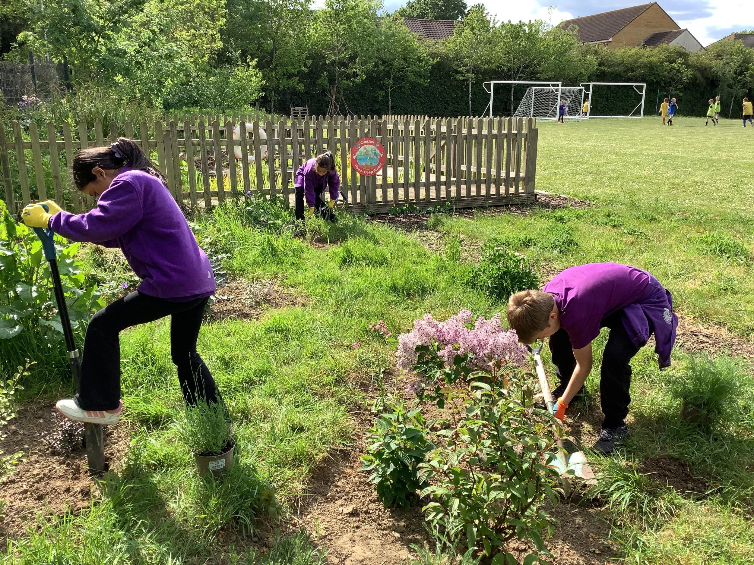 Children Planting the Shrubs & FLowers.jpg