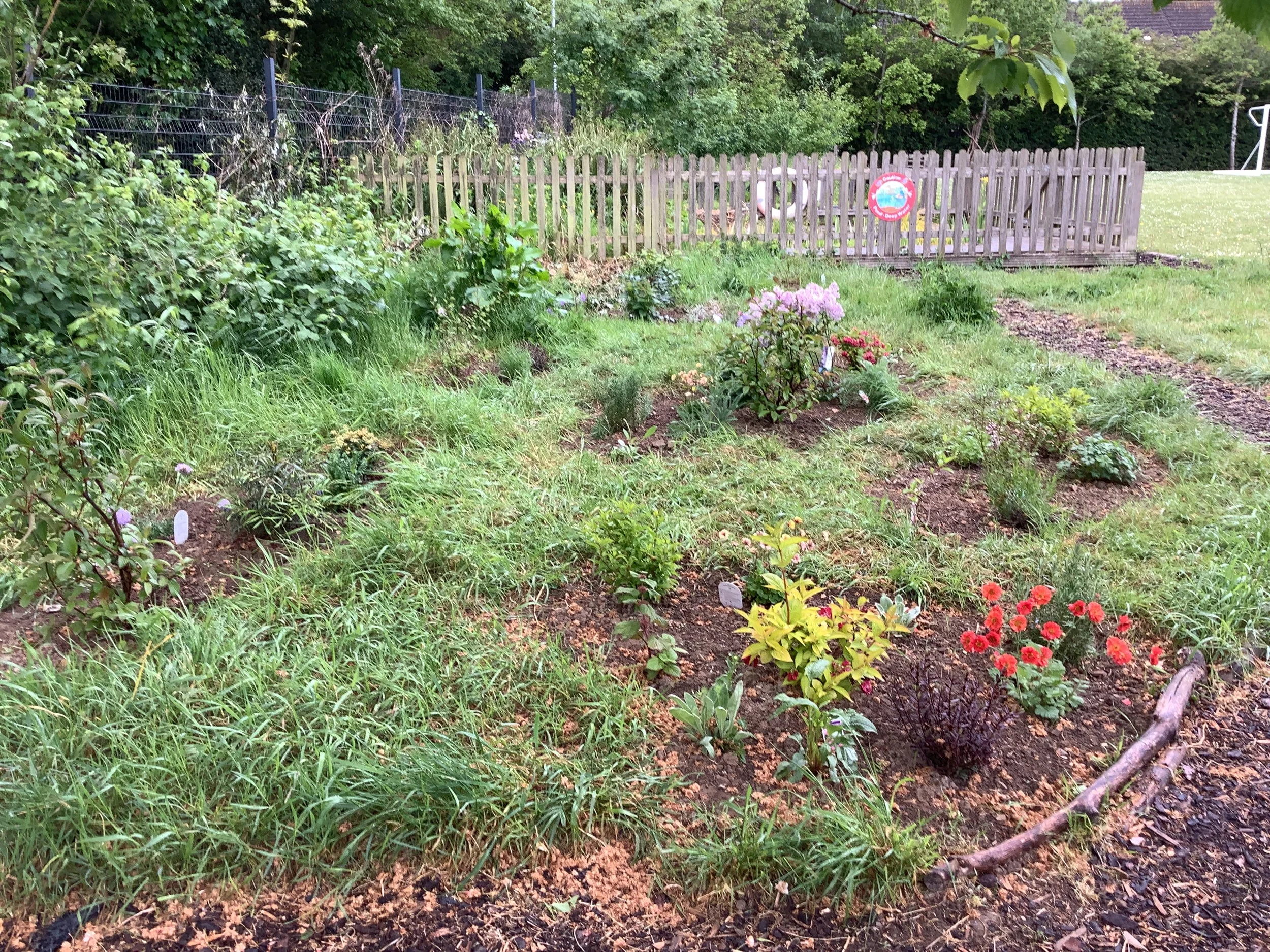 Newly Planted Butterfly Garden Beds.JPG