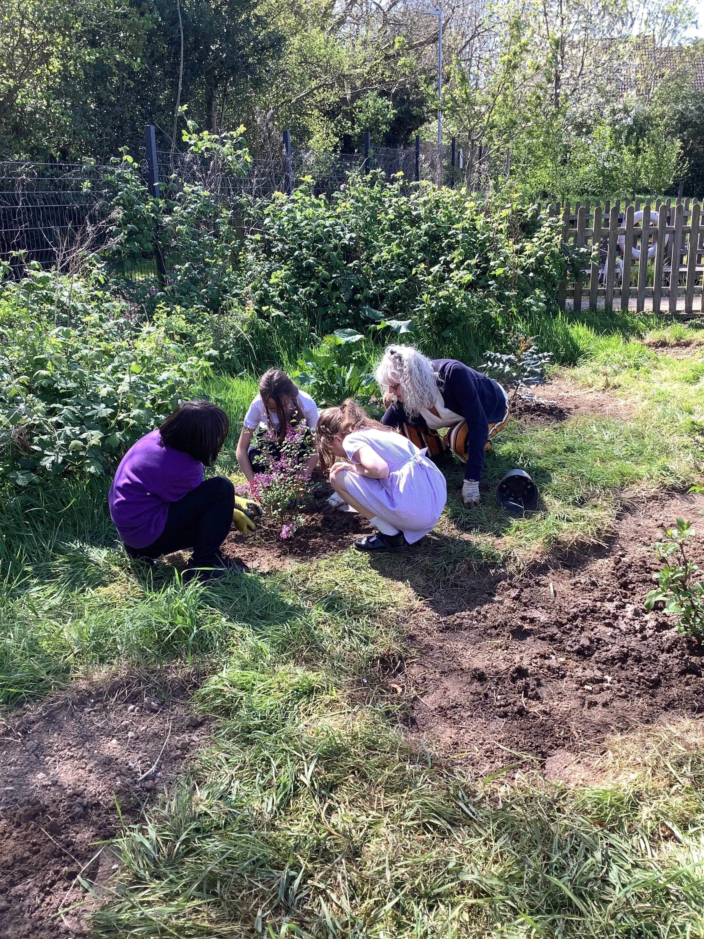 Planting the Flowers in the Butterfly Garden.jpg