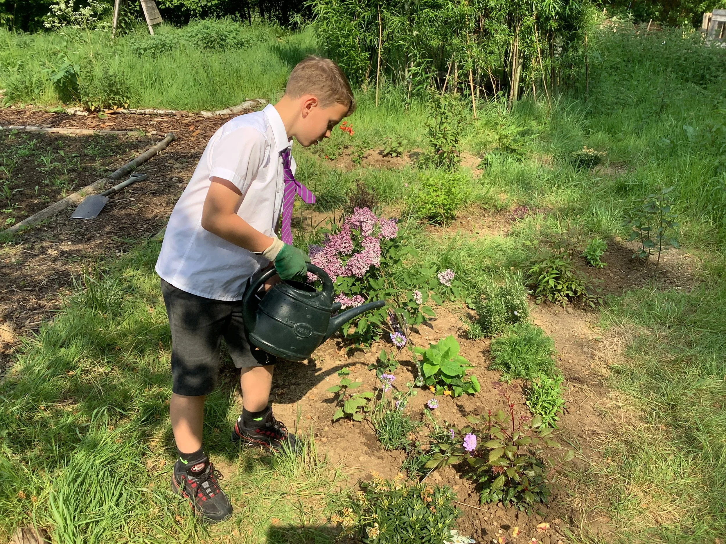Watering the newly planted Butterfly Garden Beds.JPG