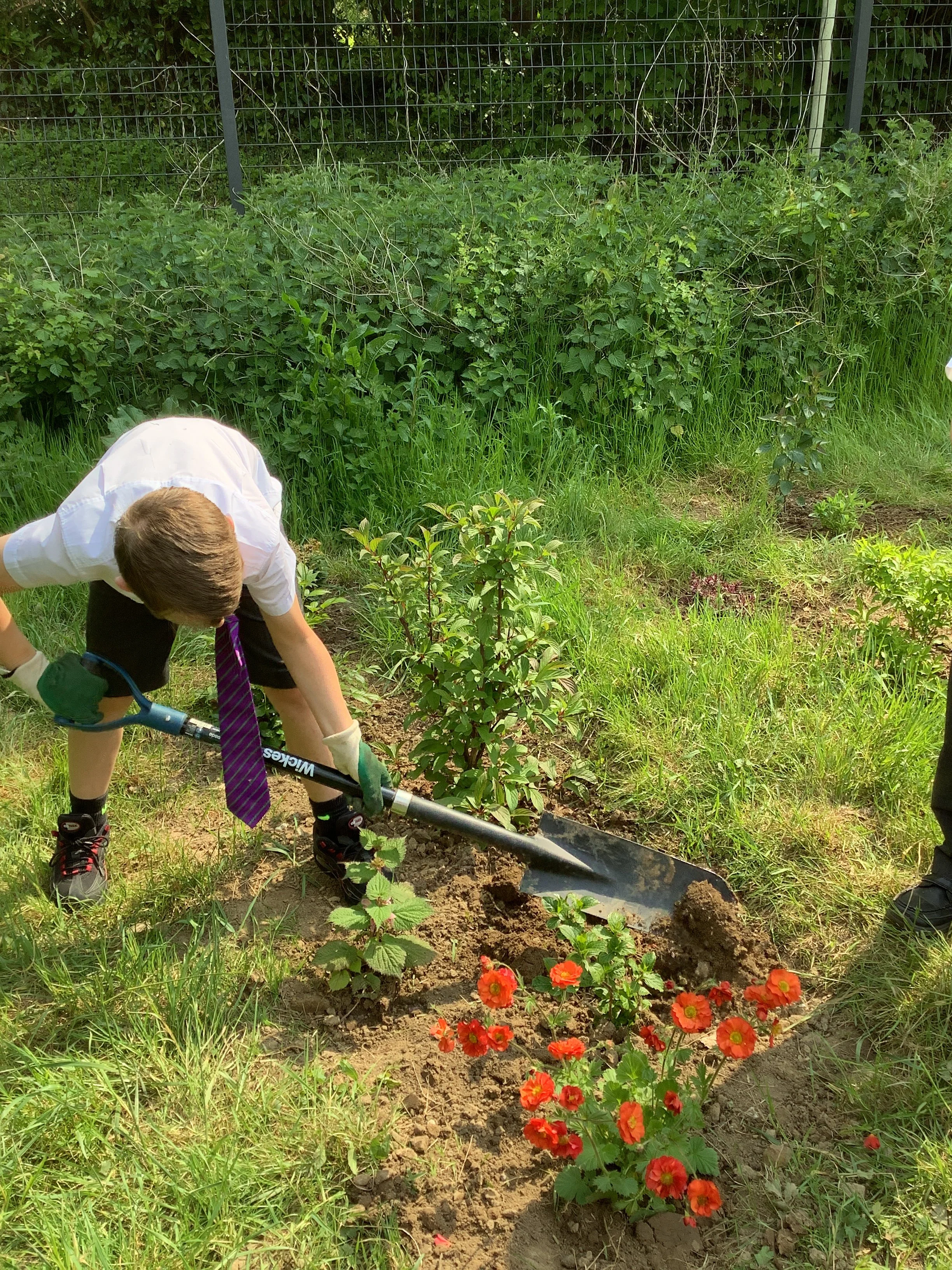 Working hard in planting.JPG