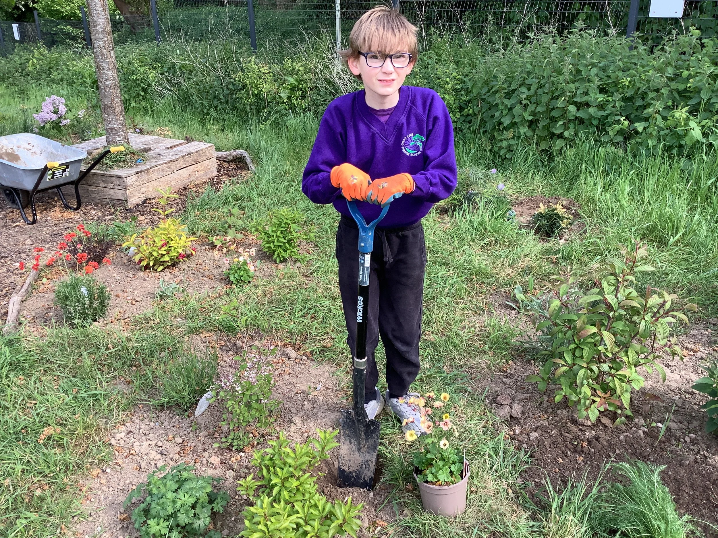 Our Butterfly Garden Dedicated to Jane Goodall