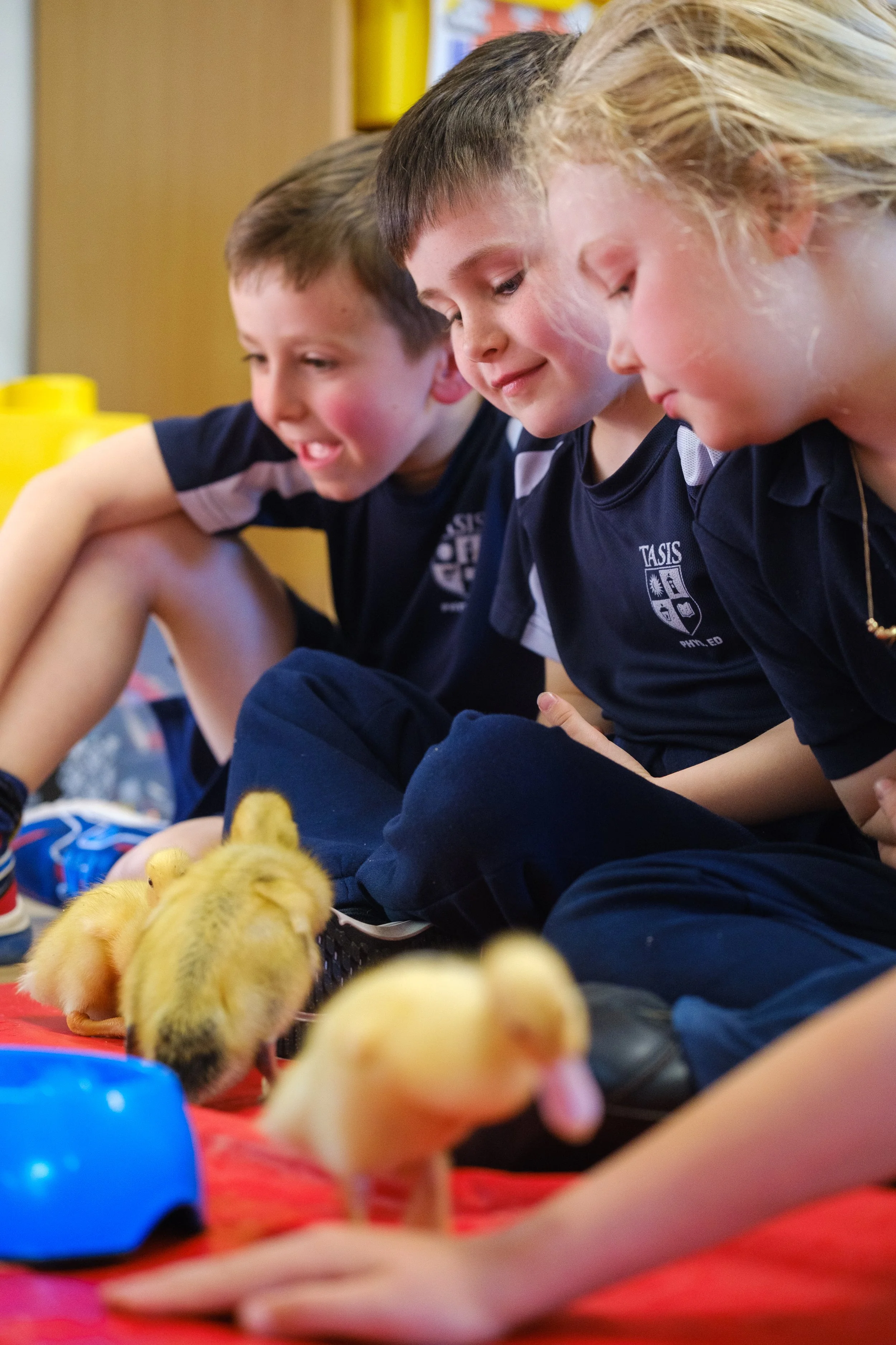 Roots and Shoots Ducklings-18.jpg