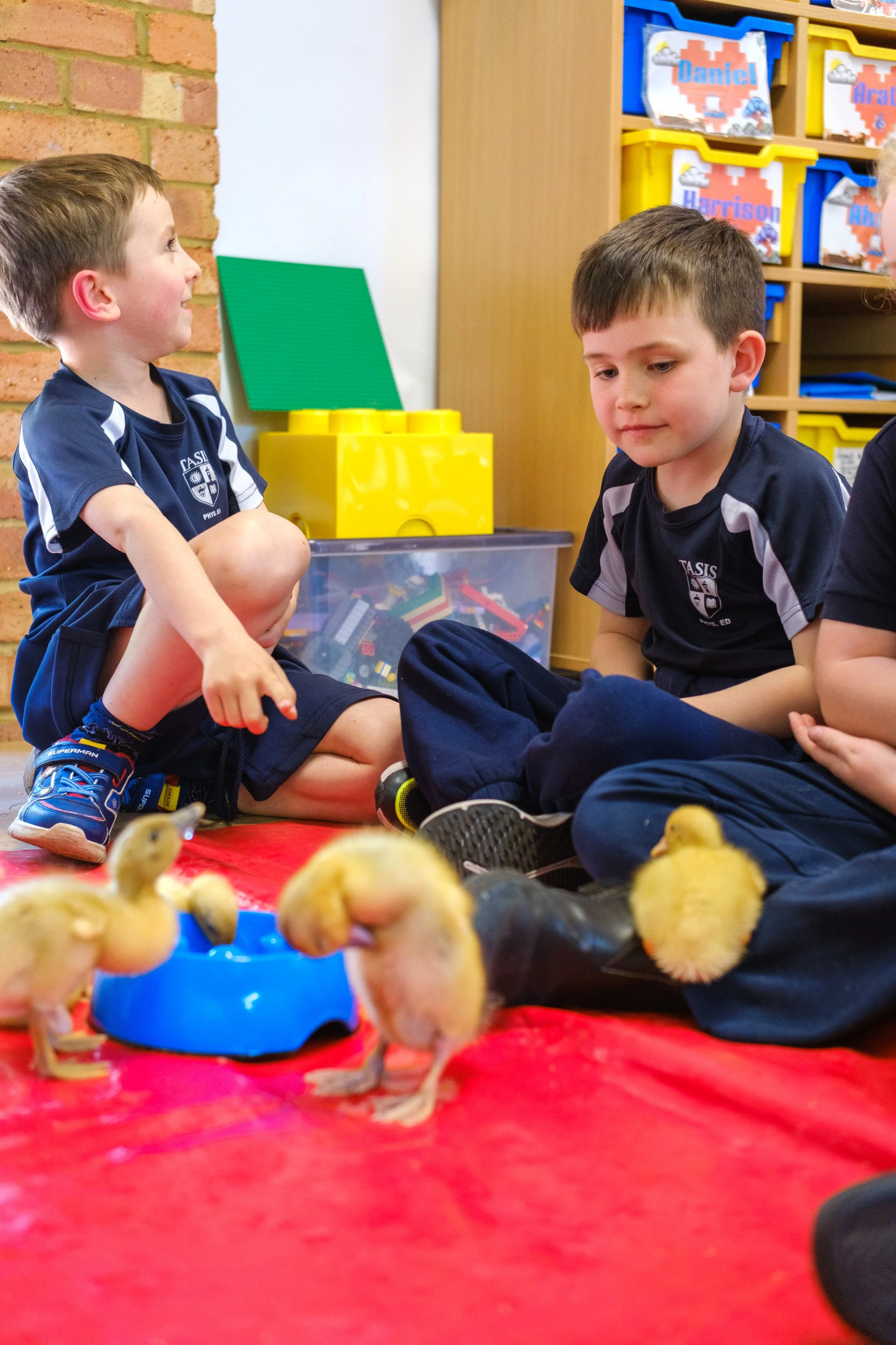 Roots and Shoots Ducklings.jpg