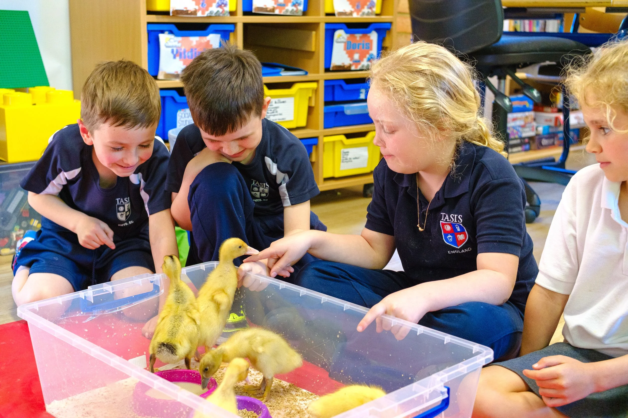 Roots and Shoots Ducklings-51.jpg