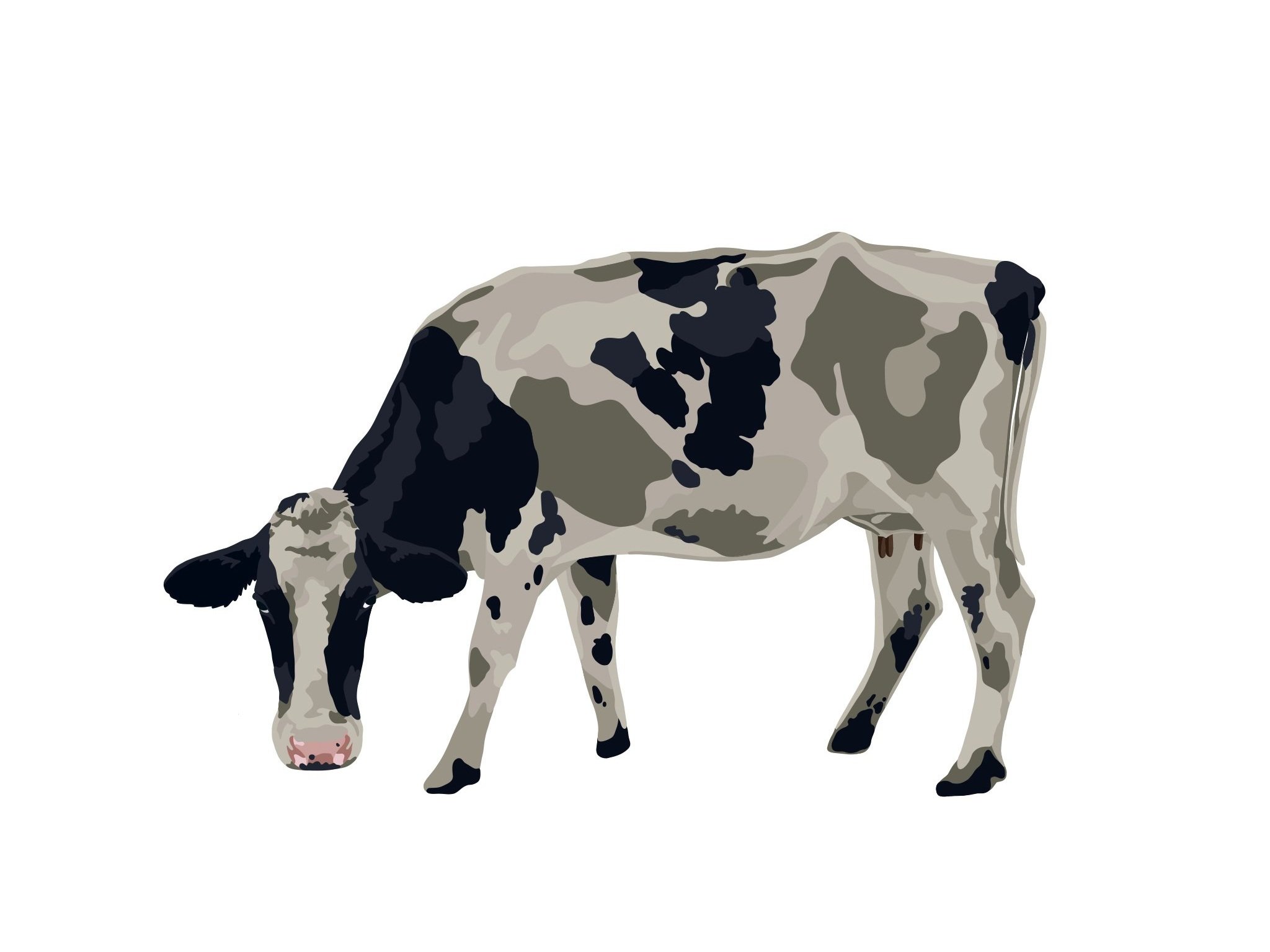 INFAMOUS+AMERICA_AMERICAS+DAIRYLAND_WISCONSIN_2023_11x14.jpg
